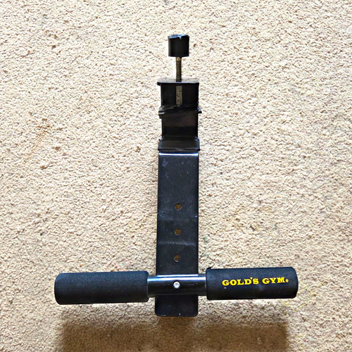 Gold gym adjustable door - gold's,